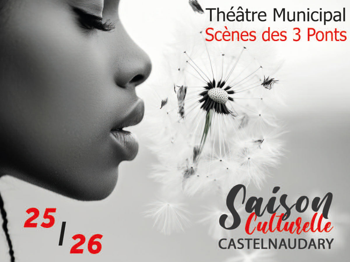 ORGUEIL ET PRÉJUGÉS... OU PRESQUE !