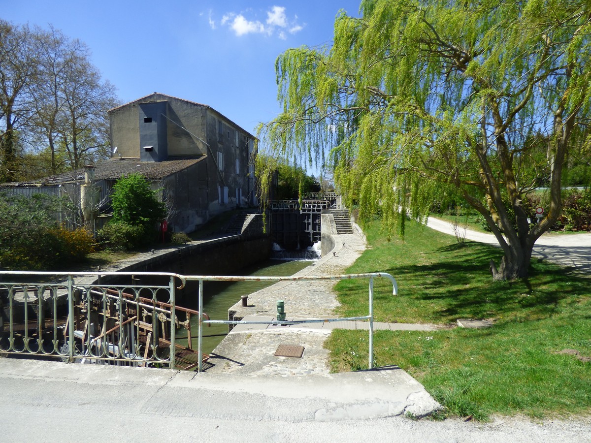 RALLYE DU CANAL DU MIDI EN AVIRON - ÉTAPES 3 ET 4