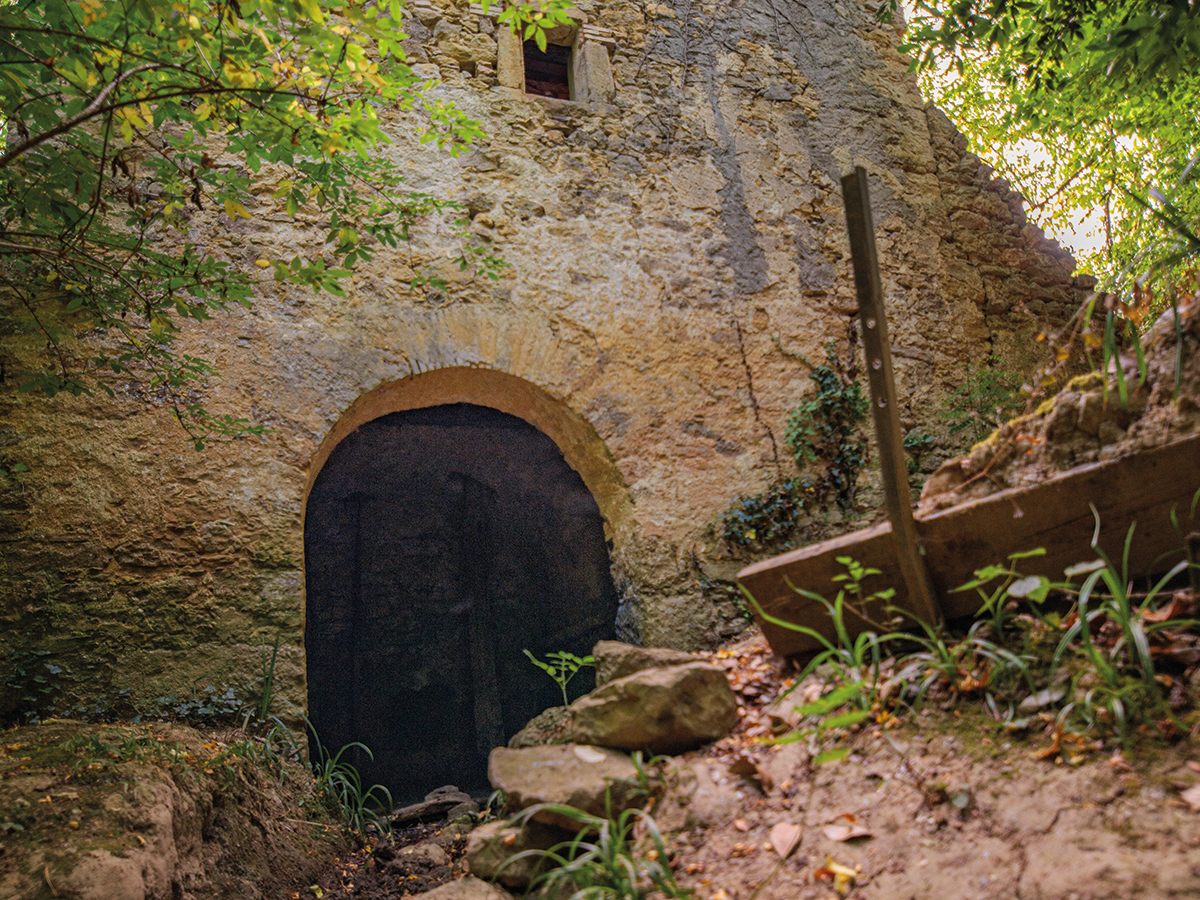 FÊTE DE LA NATURE - UNE CLAIRIÈRE, DES CHÊNES, UN MOULIN À EAU