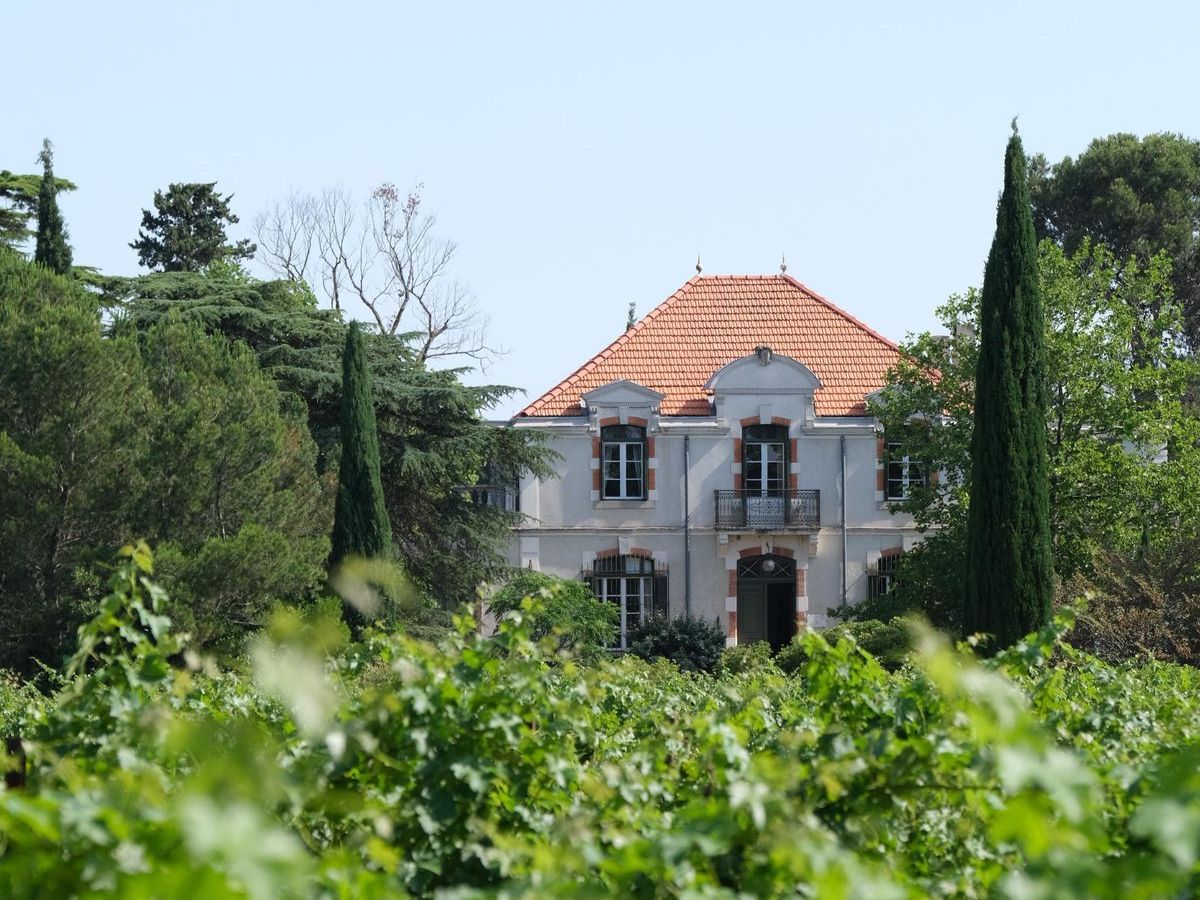 LES JEUDIS EN MALEPÈRE 2026 - DOMAINE LA SAPINIÈRE