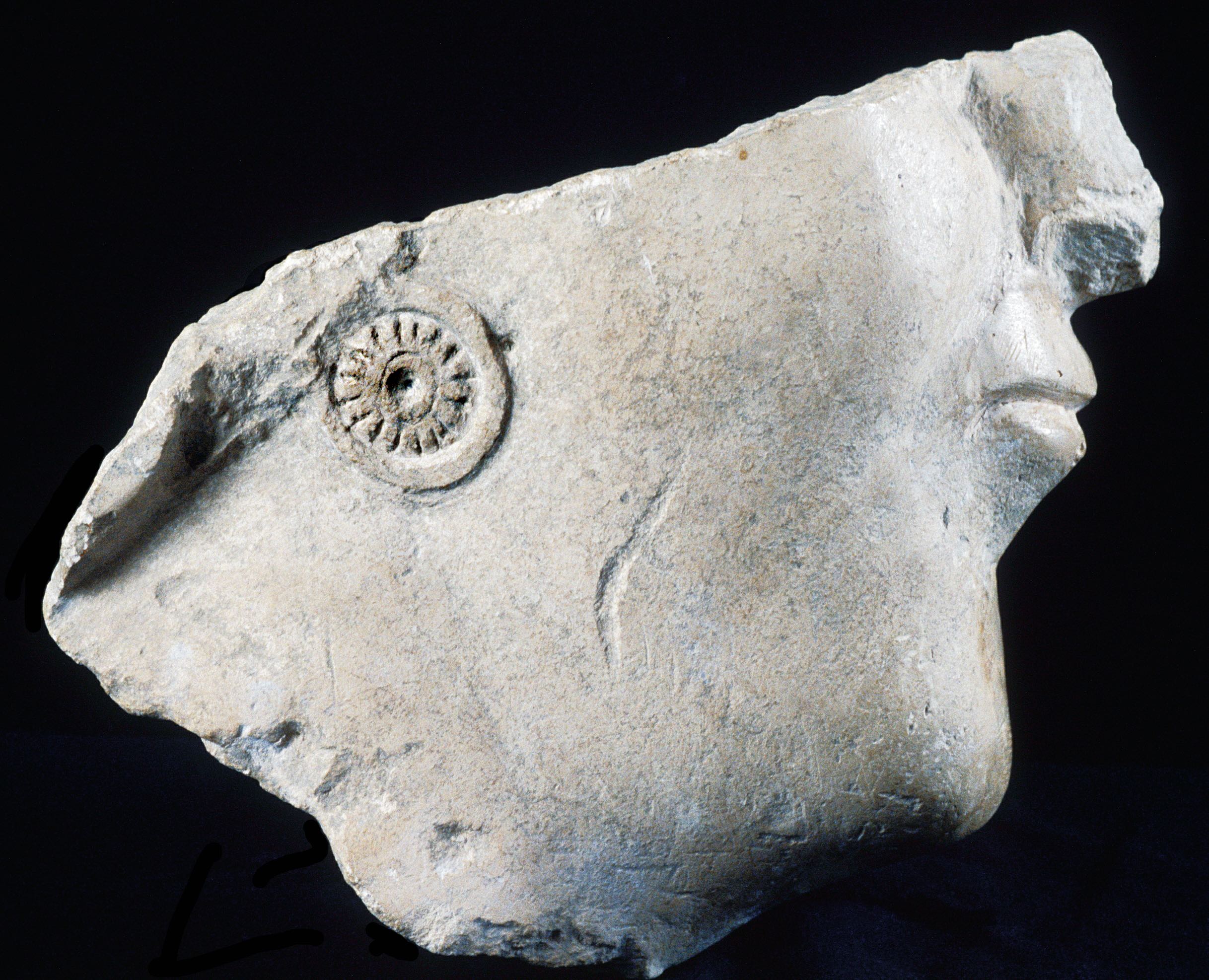 CONFÉRENCE LES FEMMES À L'ÂGE DU FER PAR RÉJANE ROURE