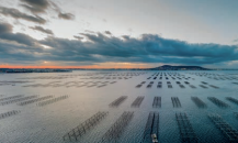 SOUVENIRS DE VACANCES