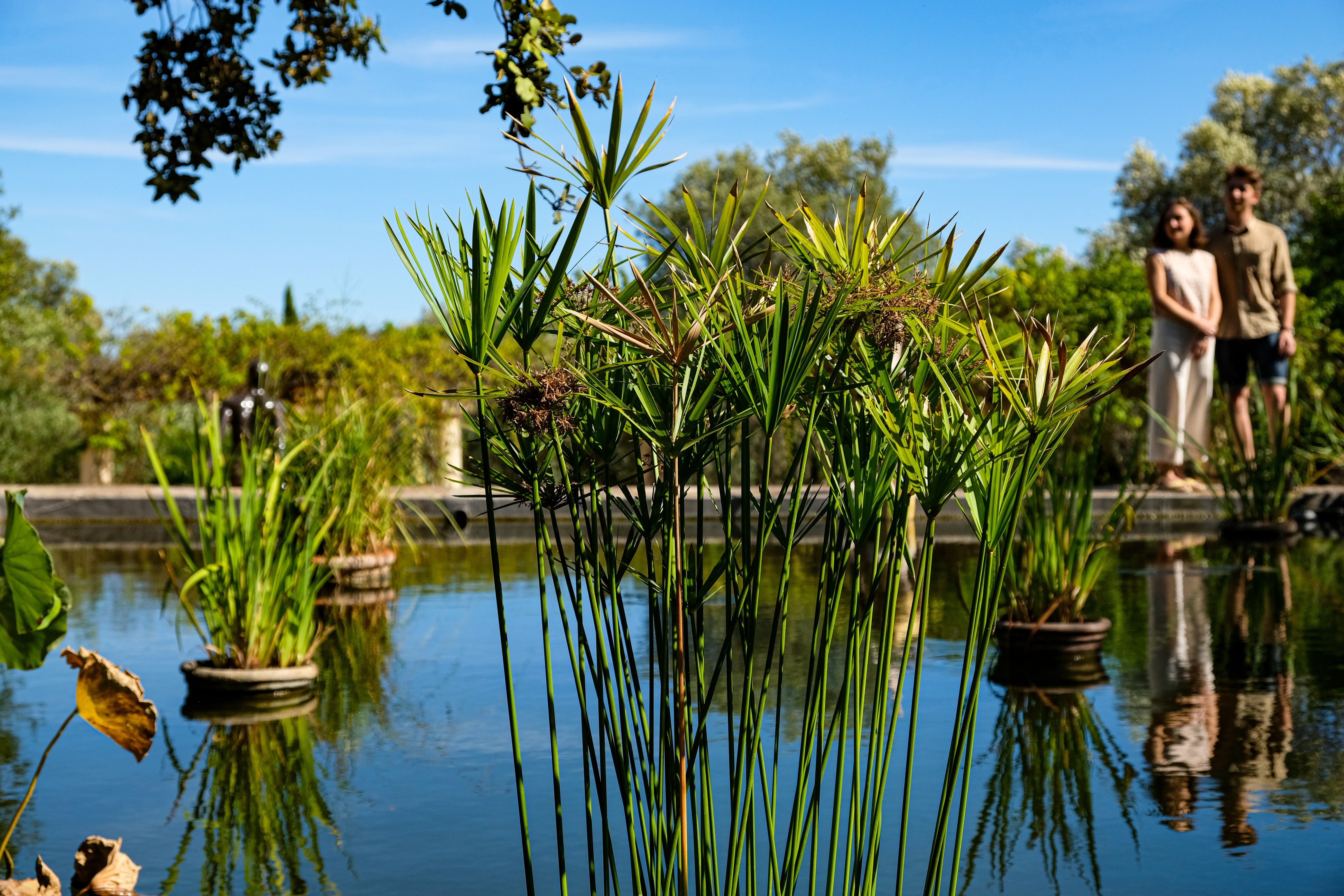 VISITES GUIDÉES AVEC UN MÉDIATEUR