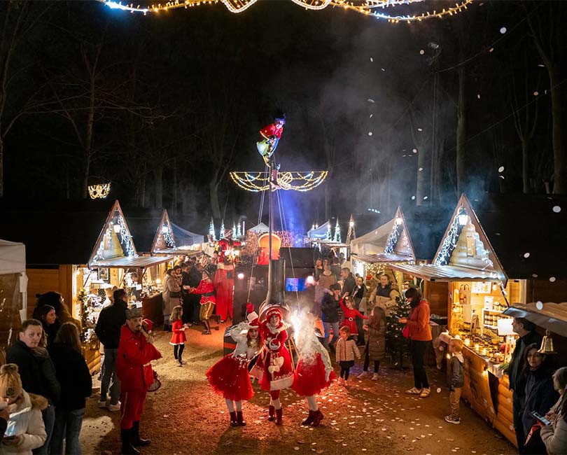 MARCHE DE NOEL DE BLAGNAC