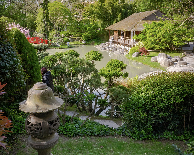 LE JARDIN JAPONAIS