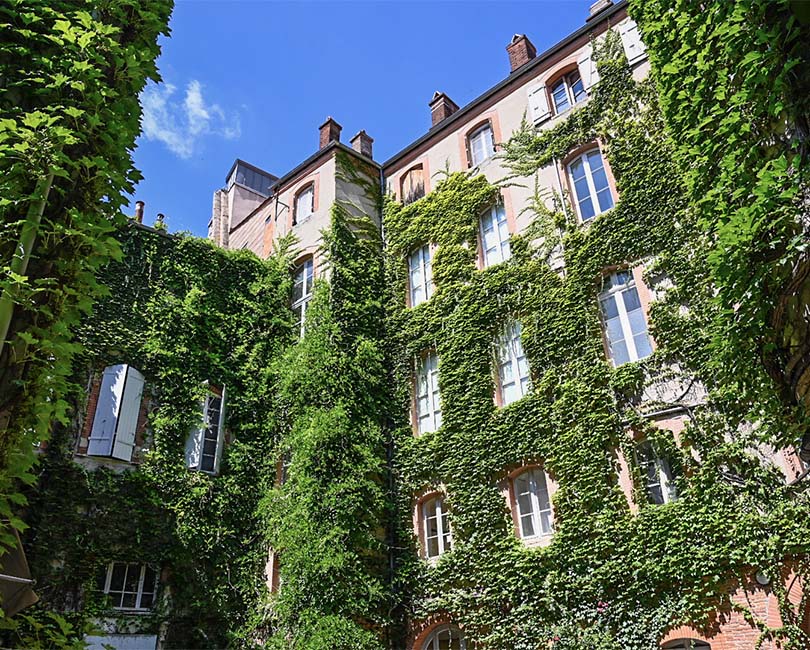 PETIT TOUR DANS LES COURS (LES VISITES À PRIX GELÉS)