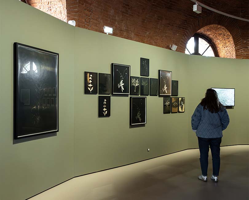 SOPHIE ZÉNON «L'HUMUS DU MONDE »