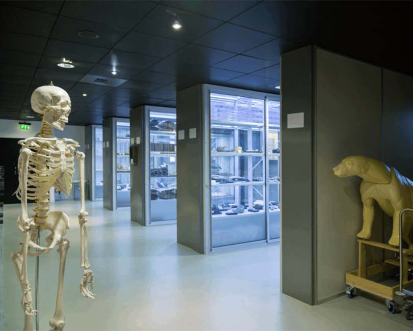 VISITE DE LA RÉSERVE PÉDAGOGIQUE