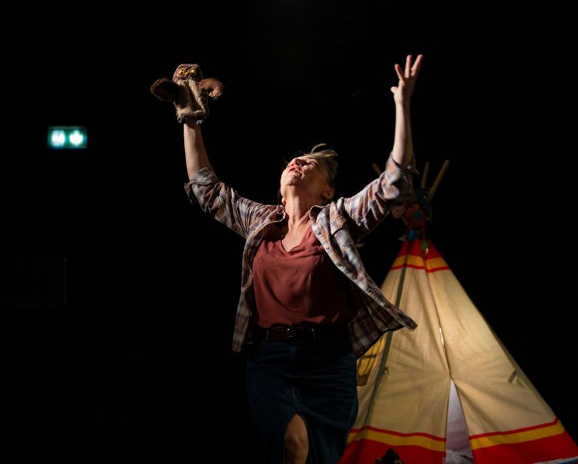 LES COUSINS DU CANADA