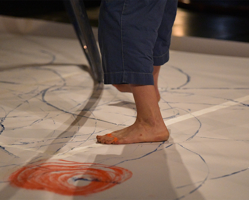 HISTOIRE(S) DE CIRQUE