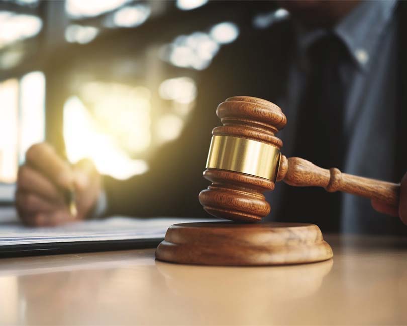 LES HIVERNALES PRIMADECO