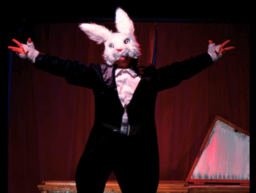 LE CIMETIÈRE DES ELÉPHANTES