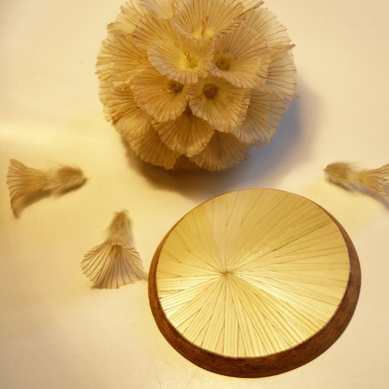 ATELIER - MARQUETERIE DE PAILLE