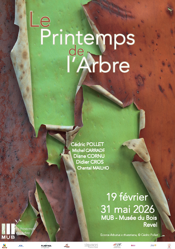 « LE PRINTEMPS DE L’ARBRE » – VERNISSAGE 