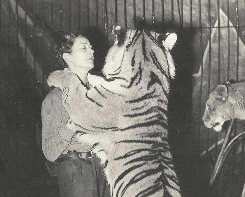 JEANNETTE MAC DONALD, LA DAME AUX FAUVES