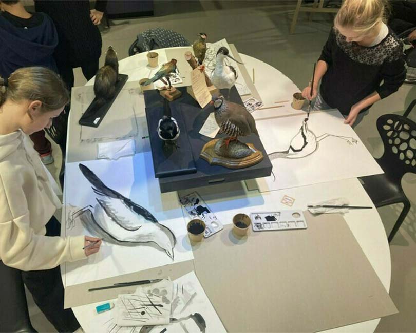 ATELIER DE DESSIN NATURALISTE