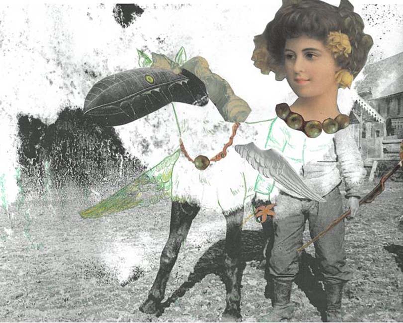 LA FABRIQUE À IMAGES