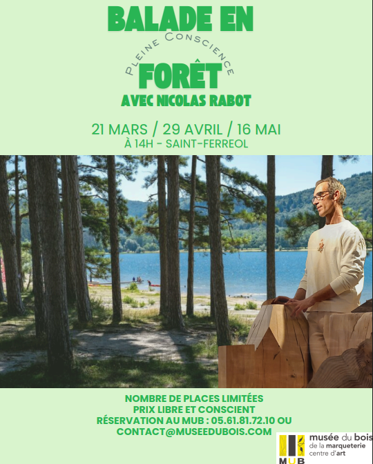BALADE EN FORÊT