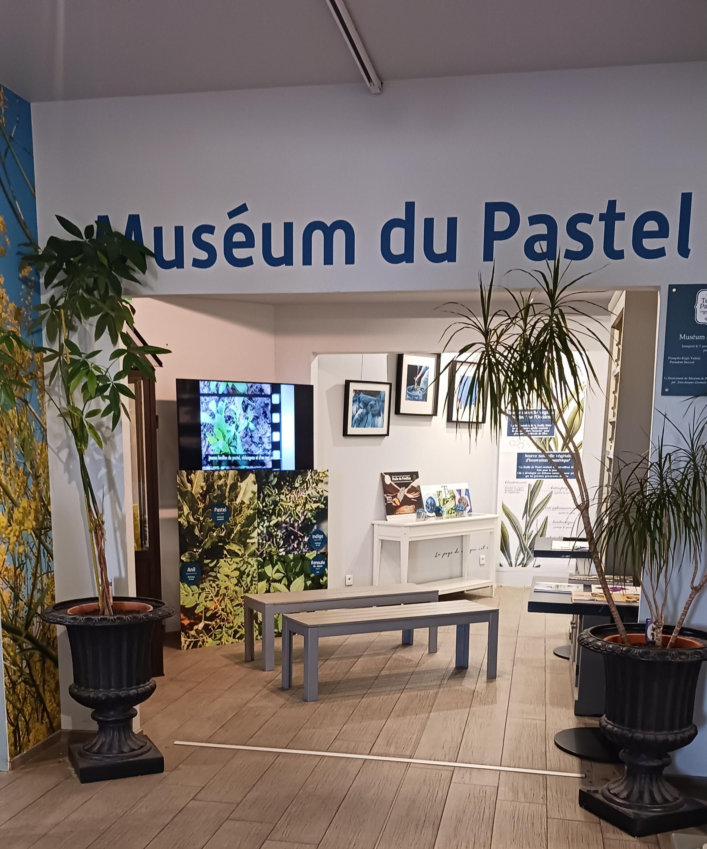 JUILLET AU MUSÉUM DU PASTEL