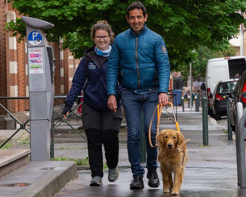 LA JOURNÉE DES CHIENS GUIDES
