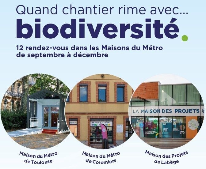LES PETITES HISTOIRES DE MONSIEUR BRANCHE