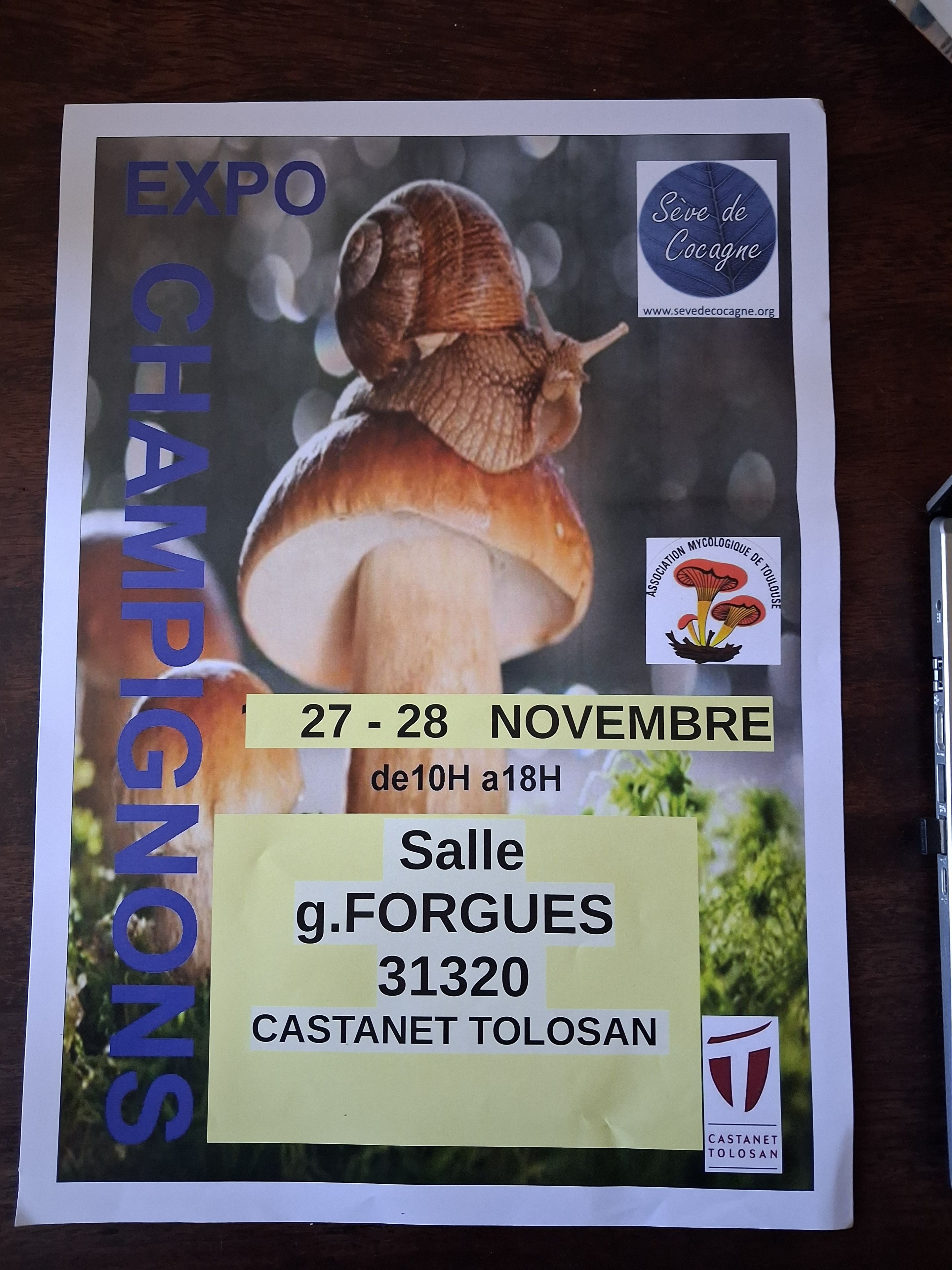 EXPOSITION DE CHAMPIGNONS