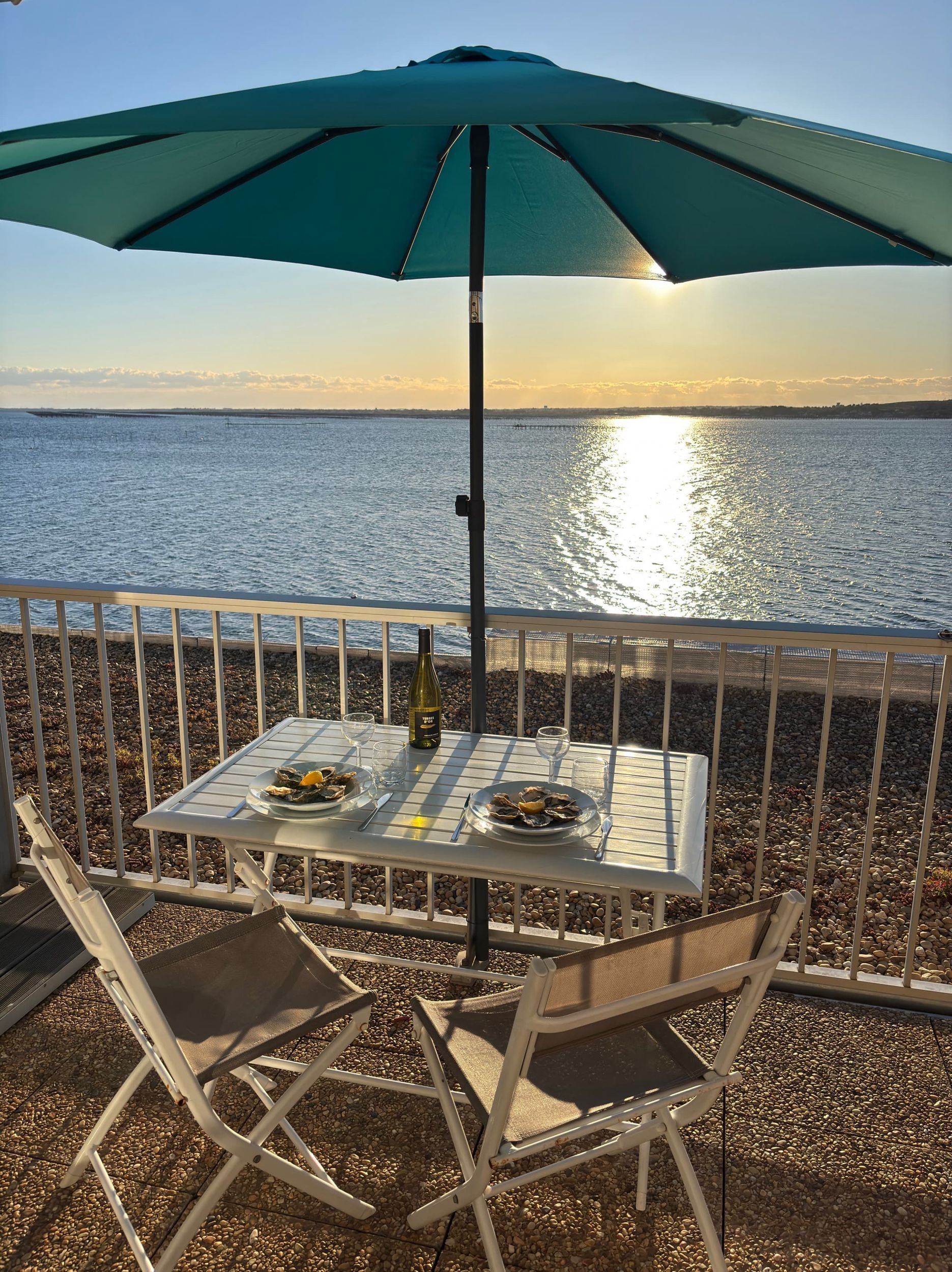 COURS ANNE-SOPHIE ET FLORIAN - FLAMANTS ROSES