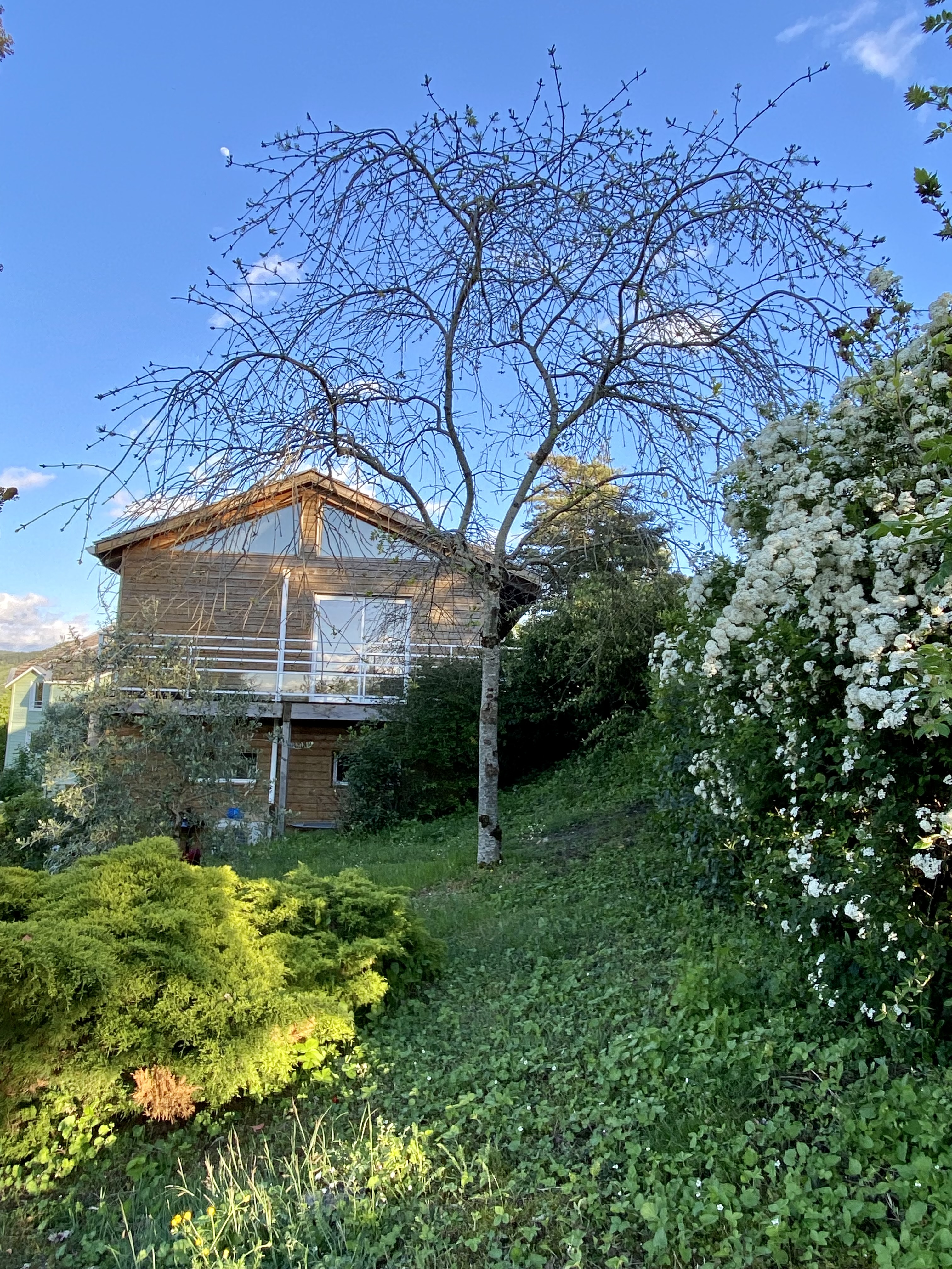 LA CHENAIE DU LAC - MELEZE