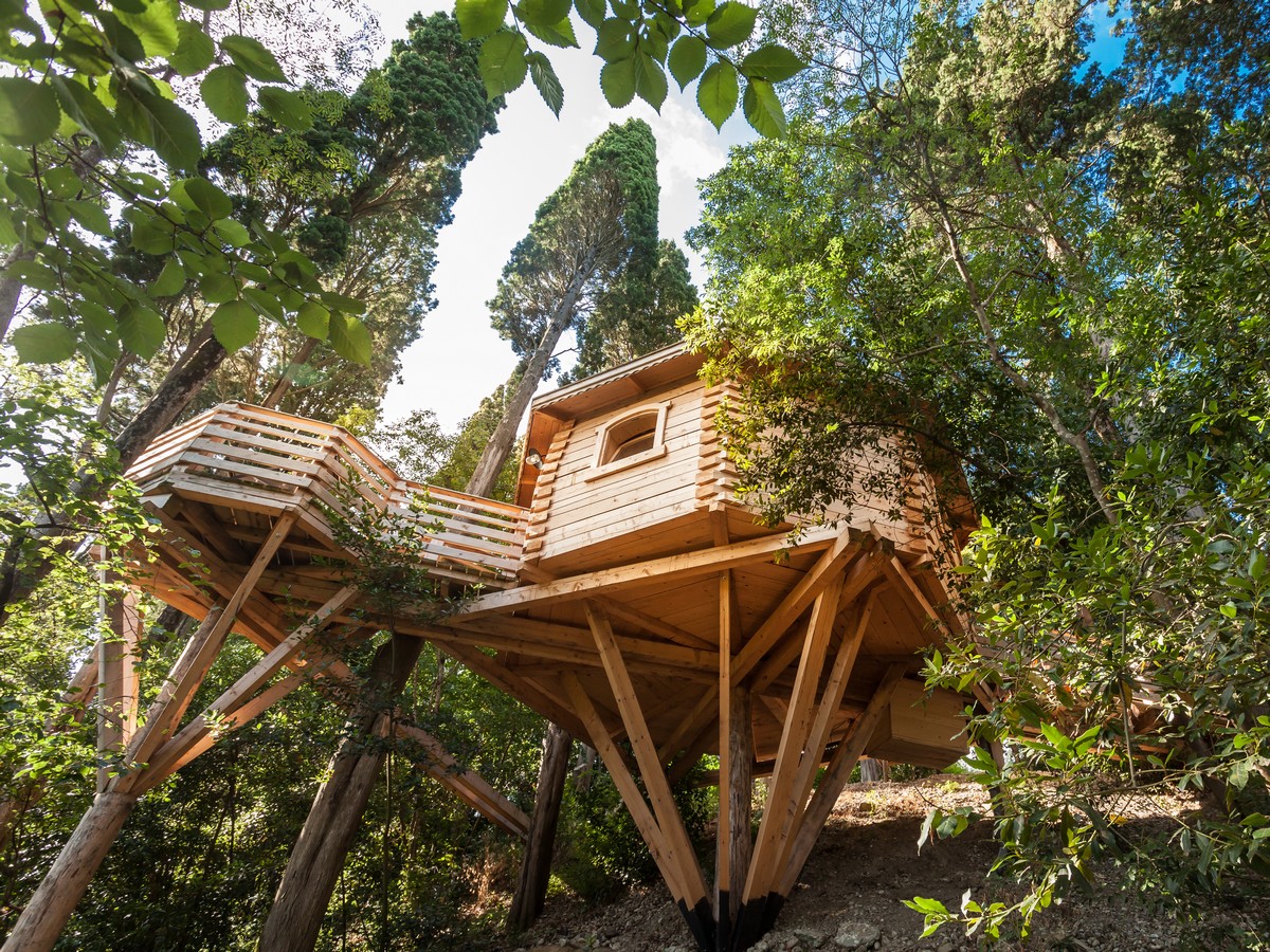 LES CABANES DANS LES BOIS