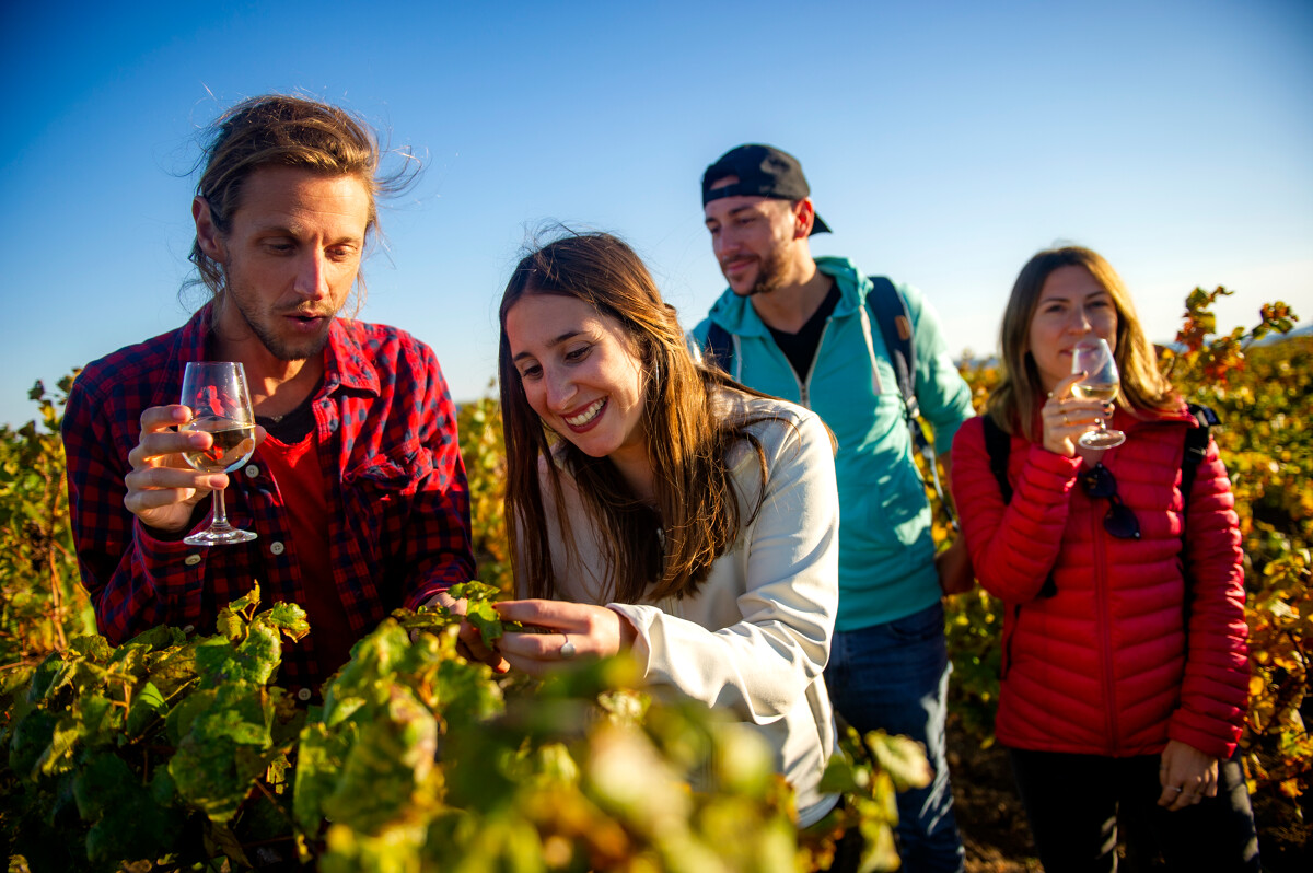 OFFICE DE TOURISME ARCHIPEL DE THAU