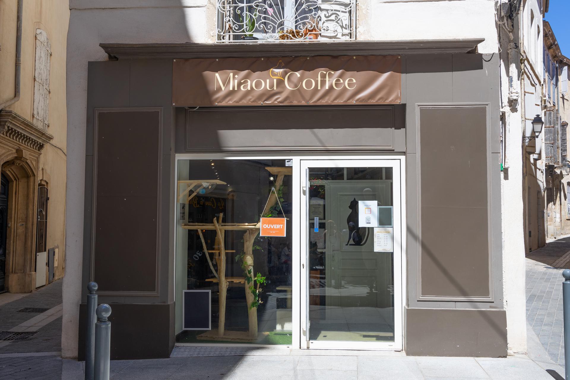 Miaou Coffee