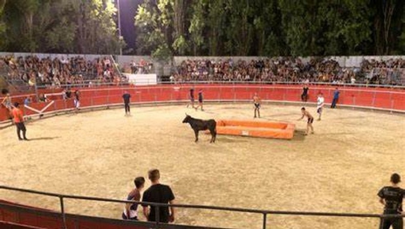 Toro Piscine Portiragnes