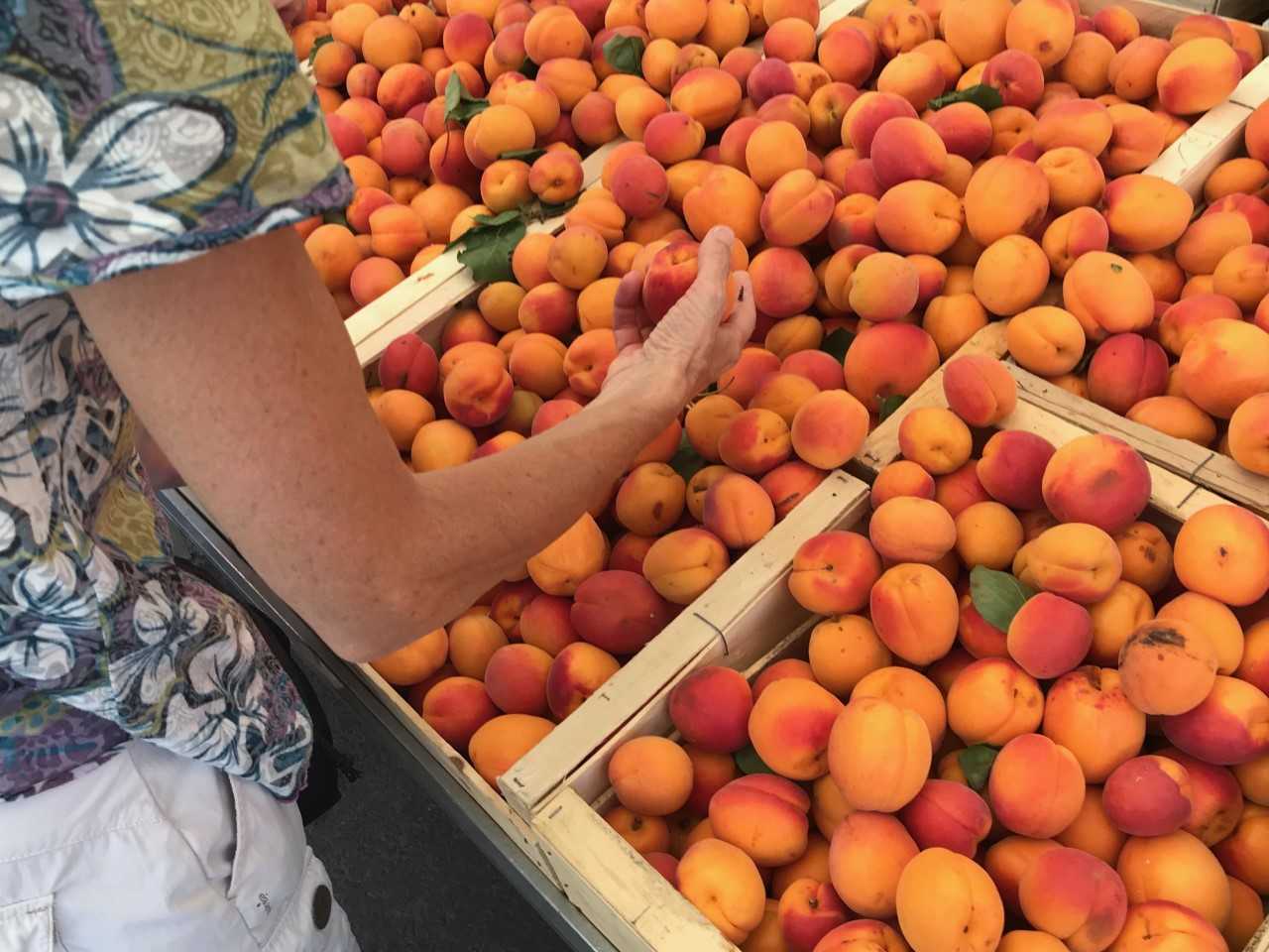 Marché Traditionnel Portiragnes Plage - Place du Bicentenaire