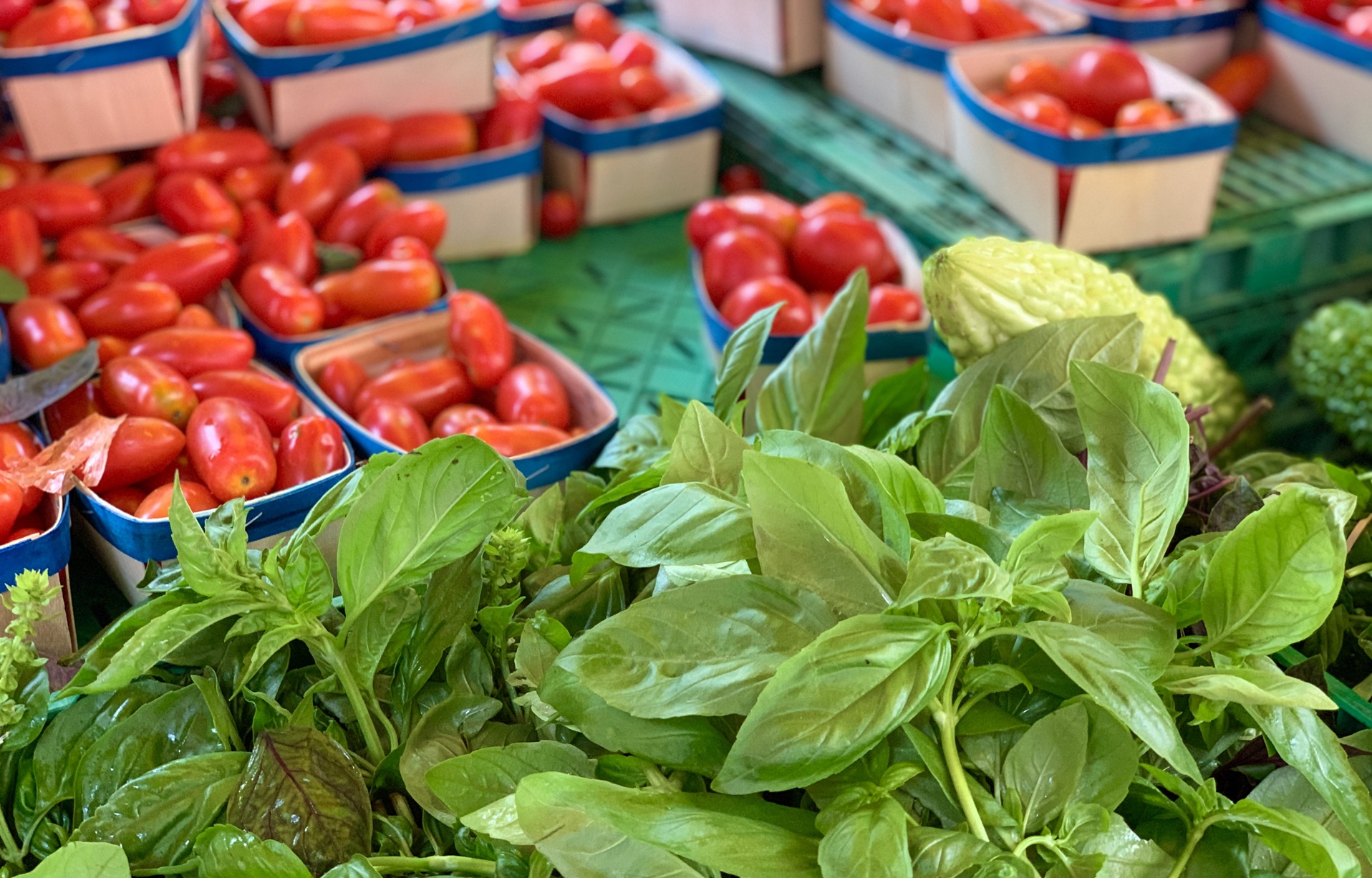 Marché Traditionnel - Le Cap d'Agde - Rambla du Soleil