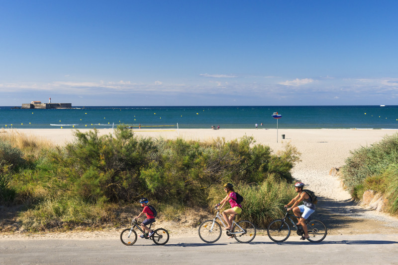 Bicyclette et flamants roses