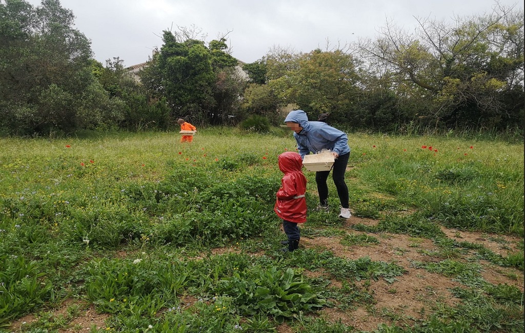 Spécial Pâques - Chasse aux oeufs