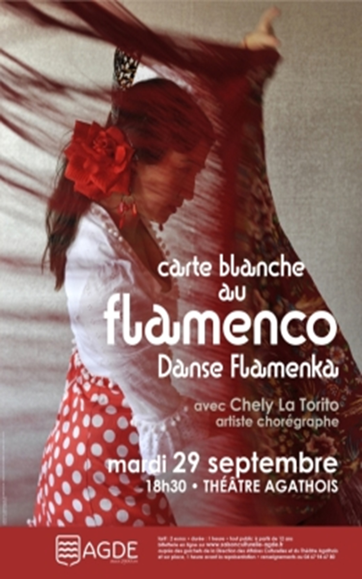 Danse Flamenka - Carte blanche au Flamenco
