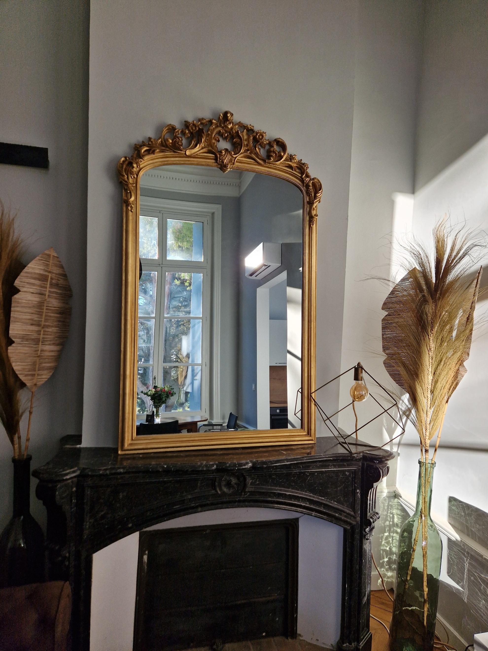 Gîtes les Palmiers - Château de Bayssan